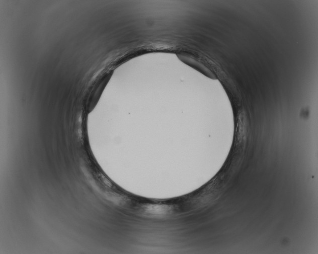 X0000115690212200912241508