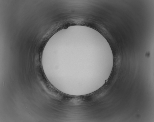 X0000115690213200912241508