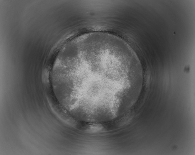 X0000115690214200912241508