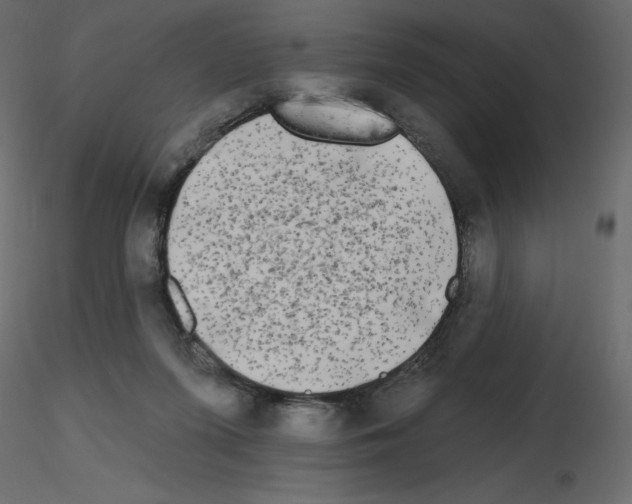 X0000115690215200912241508