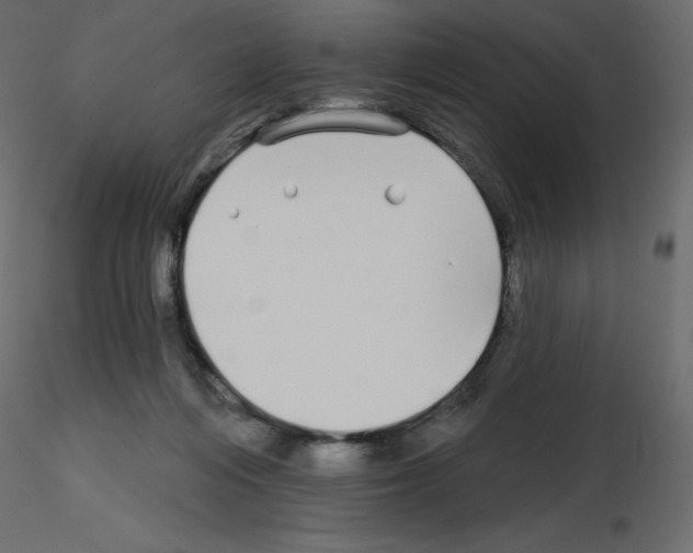 X0000115690216200912241508