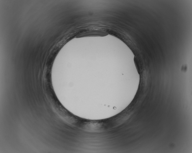 X0000115690217200912241508