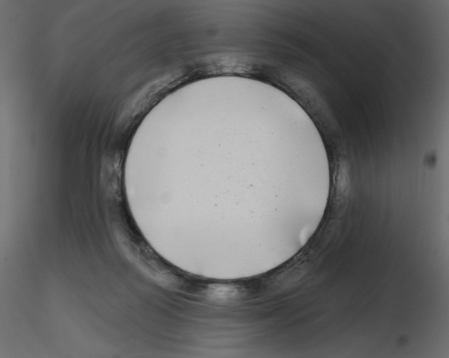 X0000115690218200912241508