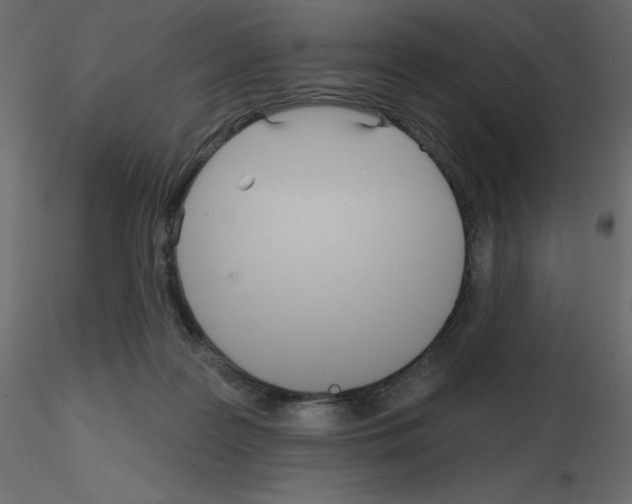 X0000115690219200912241508
