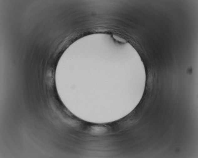 X0000115690220200912241508