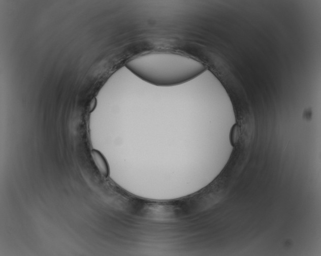 X0000115690221200912241508