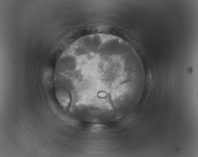 X0000115690222200912241508