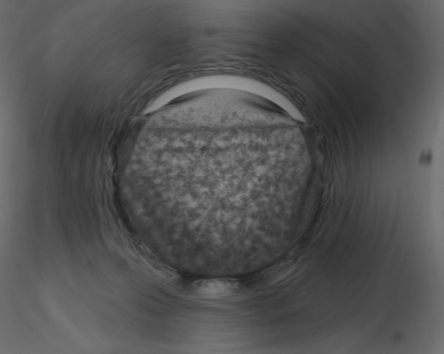 X0000115690223200912241508