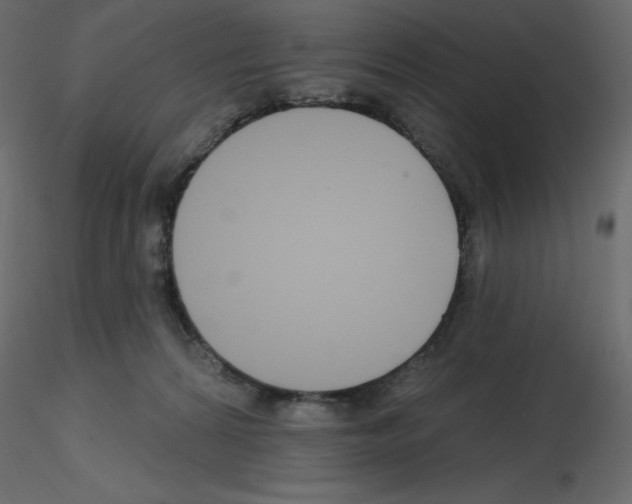 X0000115690224200912241508