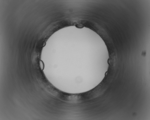 X0000115690225200912241508