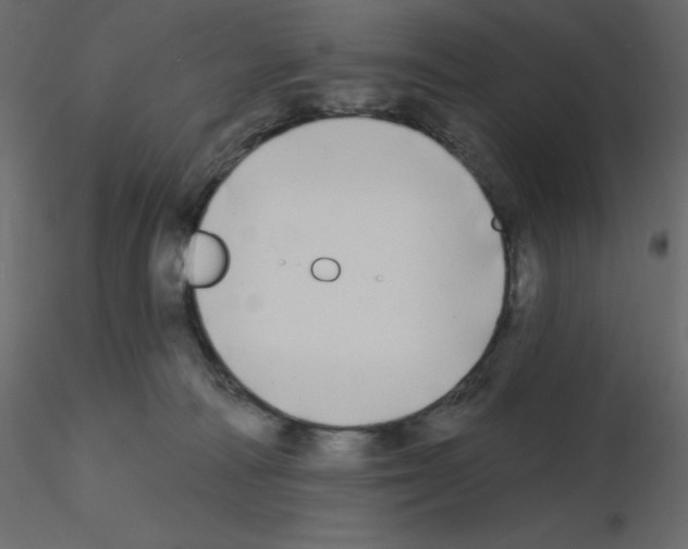 X0000115690226200912241508