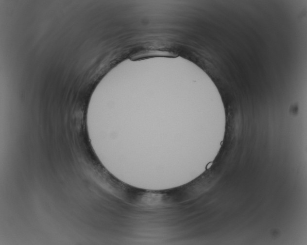 X0000115690227200912241508