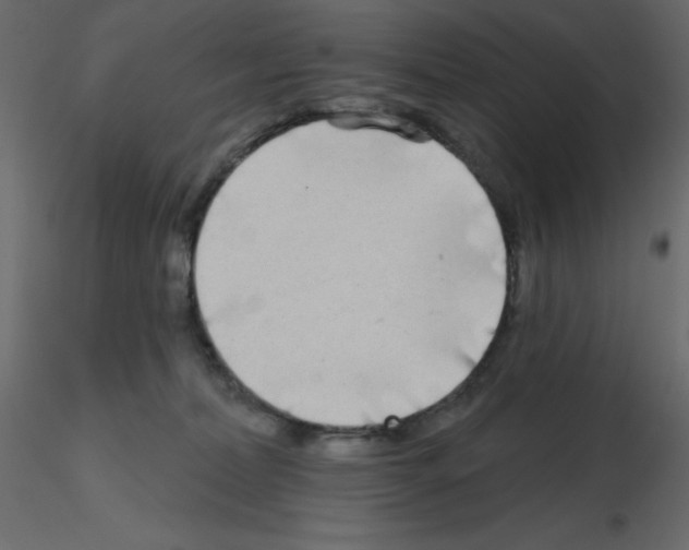 X0000115690228200912241508