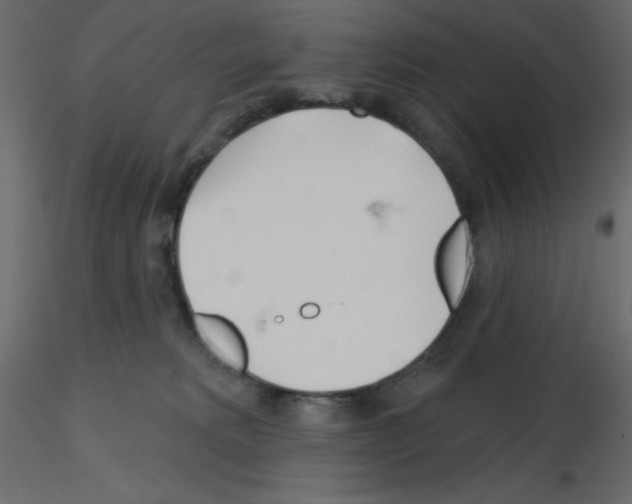 X0000115690229200912241508