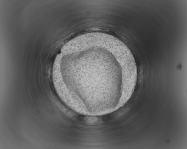 X0000115690230200912241508