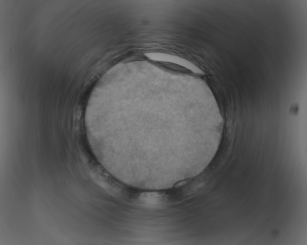 X0000115690231200912241508