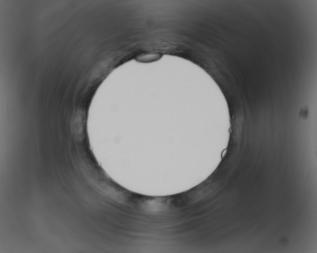 X0000115690232200912241508
