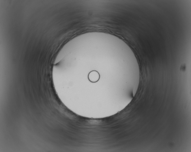 X0000115690233200912241508