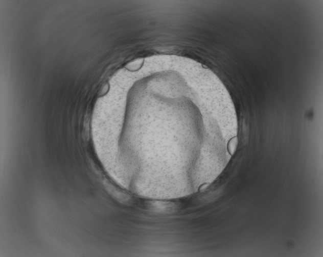 X0000115690234200912241508
