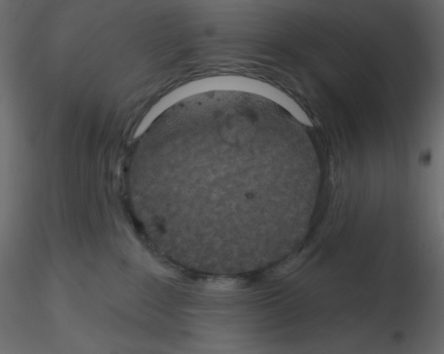 X0000115690235200912241508