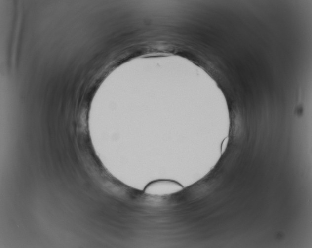 X0000115690236200912241508