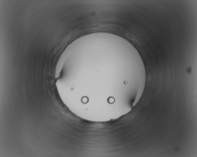 X0000115690237200912241508