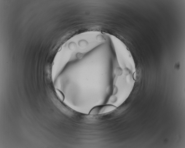 X0000115690238200912241508