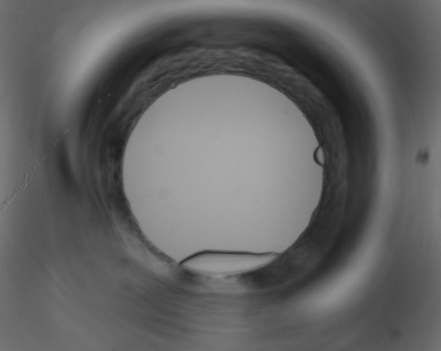 X0000115690239200912241508