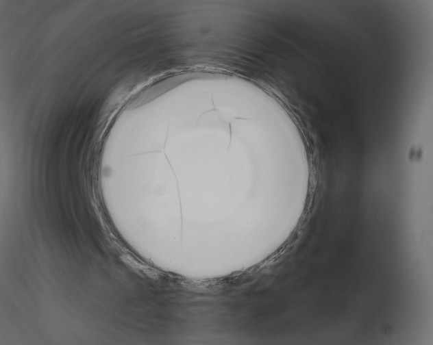 X0000115690241200912241507