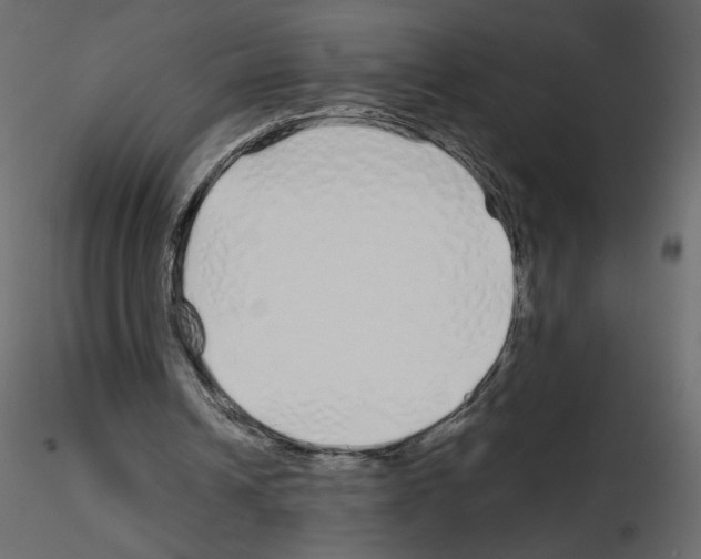 X0000115690242200912241507