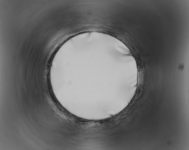 X0000115690243200912241507