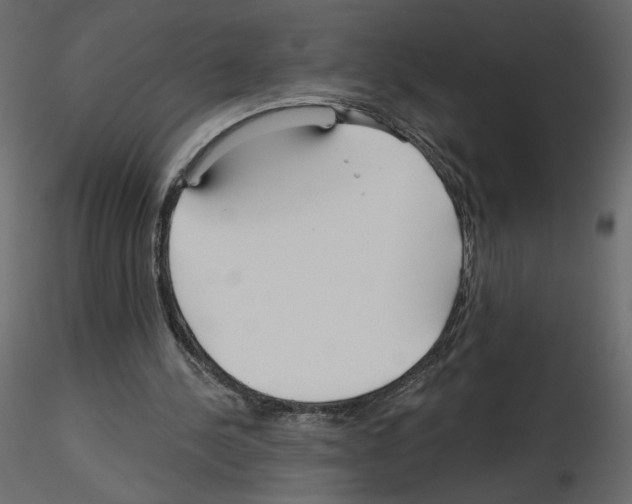 X0000115690244200912241507