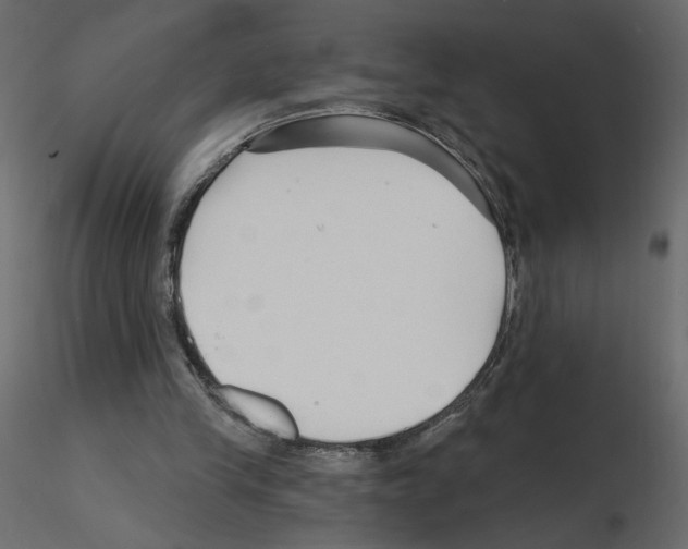 X0000115690245200912241507