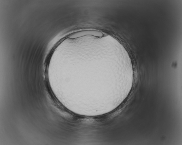 X0000115690246200912241507