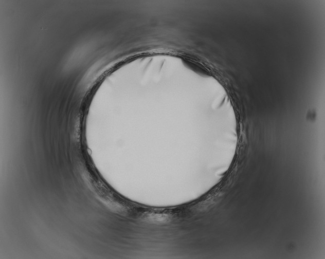 X0000115690247200912241508