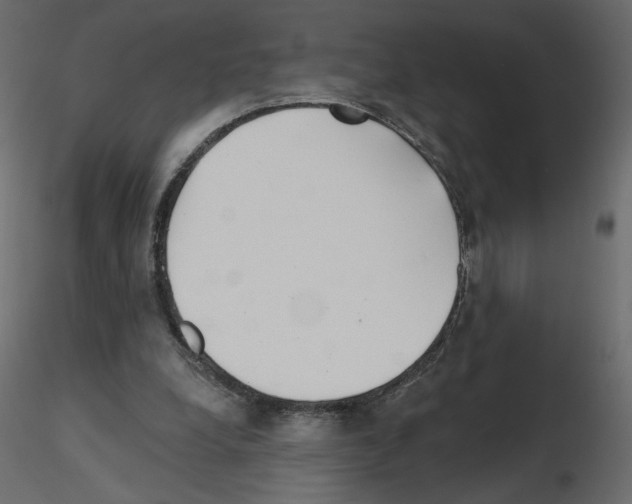 X0000115690248200912241508