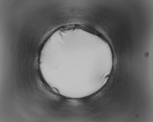 X0000115690249200912241508