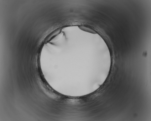 X0000115690250200912241508