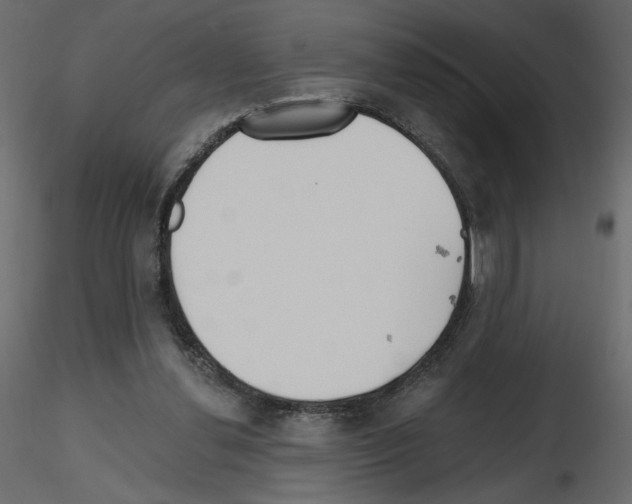 X0000115690252200912241508