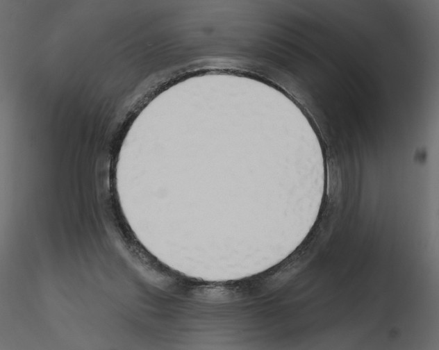 X0000115690253200912241508