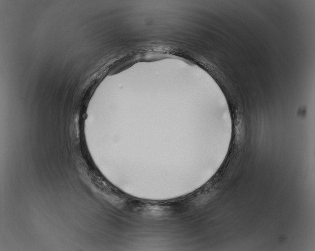 X0000115690254200912241508