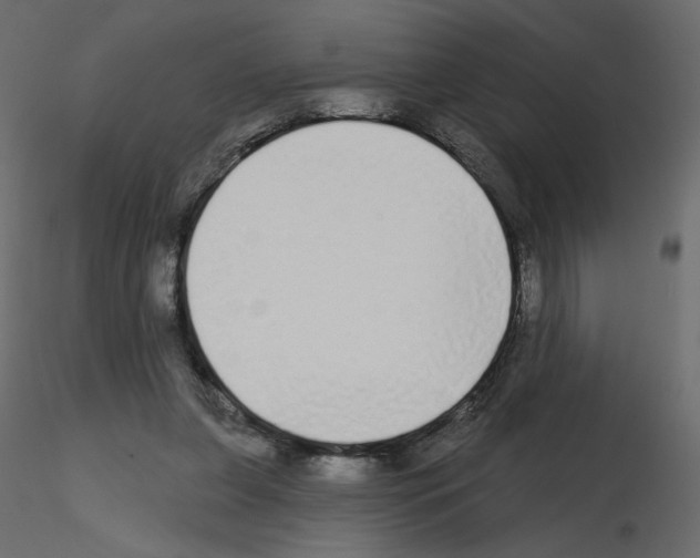 X0000115690255200912241508