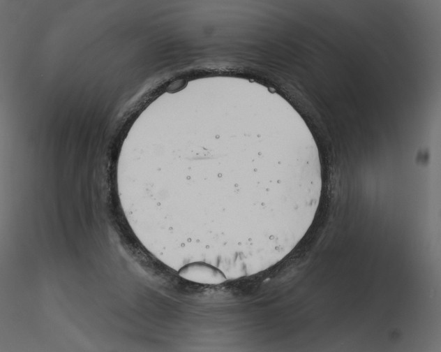 X0000115690256200912241508