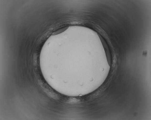 X0000115690257200912241508