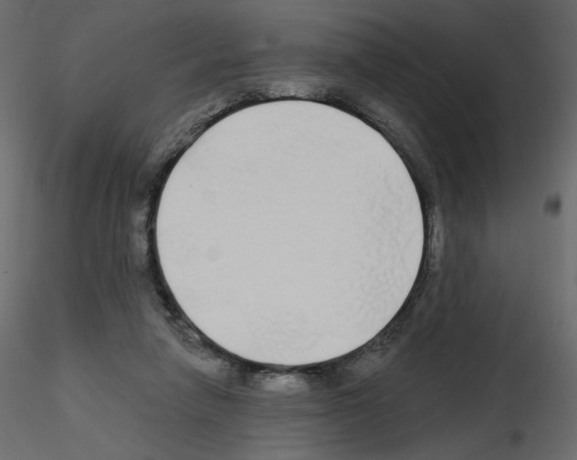 X0000115690258200912241508
