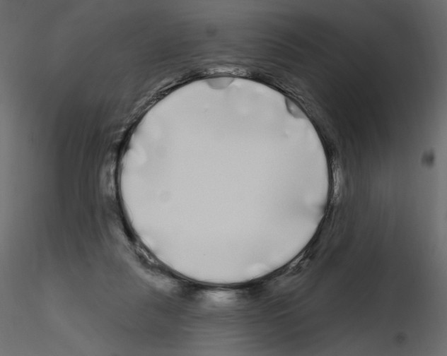 X0000115690259200912241508
