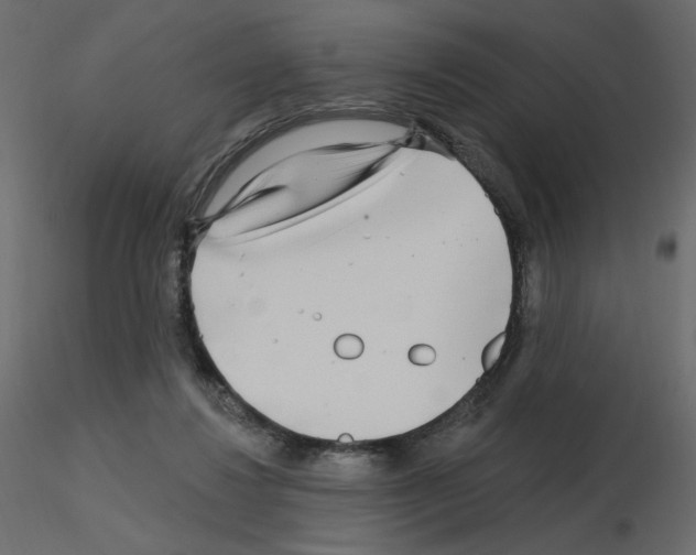 X0000115690260200912241508