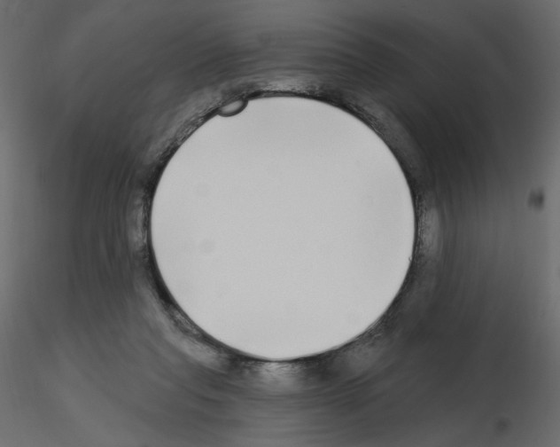 X0000115690261200912241508