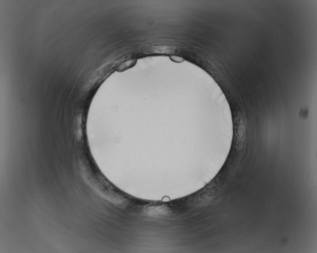 X0000115690262200912241508