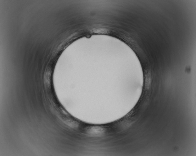 X0000115690263200912241508